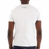 GV CAMISETA OSO - Imagen 3
